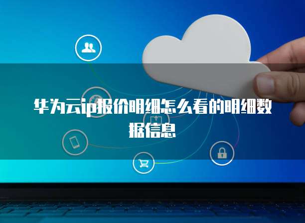 华为云ip报价明细怎么看的明细数据信息