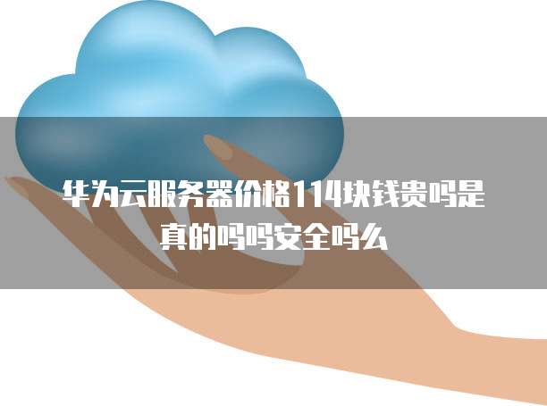 华为云服务器价格114块钱贵吗是真的吗吗安全吗么