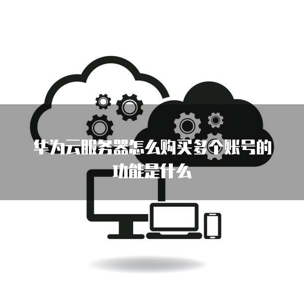 华为云服务器怎么购买多个账号的功能是什么