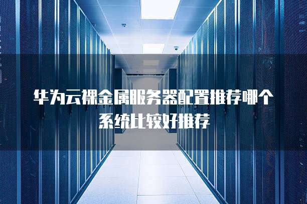 华为云裸金属服务器配置推荐哪个系统比较好推荐