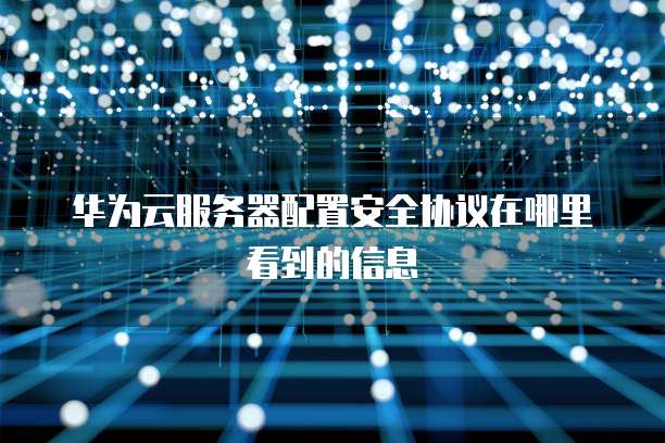 华为云服务器配置安全协议在哪里看到的信息