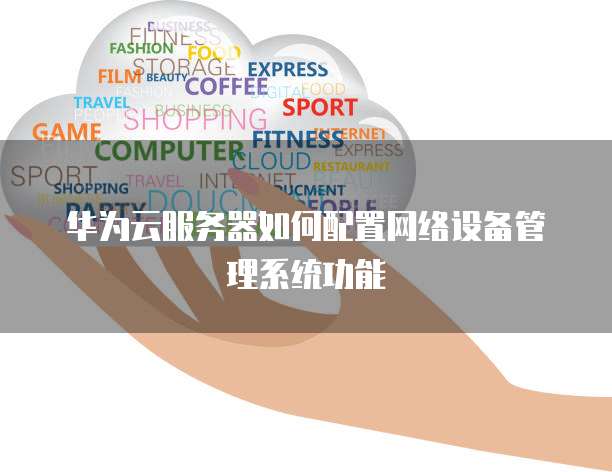 华为云服务器如何配置网络设备管理系统功能
