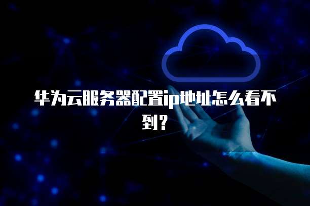 华为云服务器配置ip地址怎么看不到?