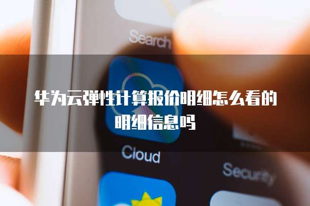 华为云弹性计算报价明细怎么看的明细信息吗