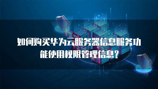 如何购买华为云服务器信息服务功能使用权限管理信息?