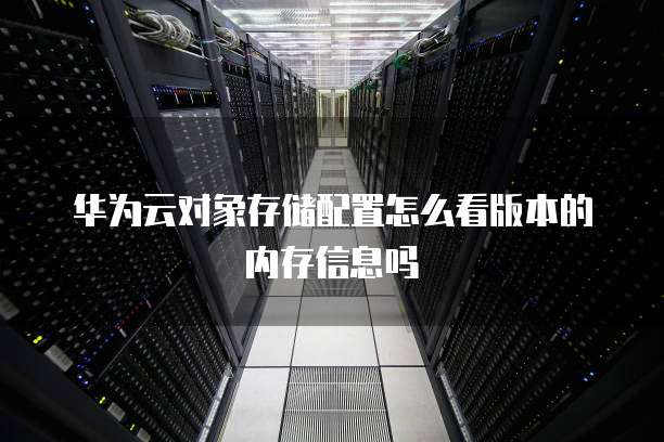 华为云对象存储配置怎么看版本的内存信息吗