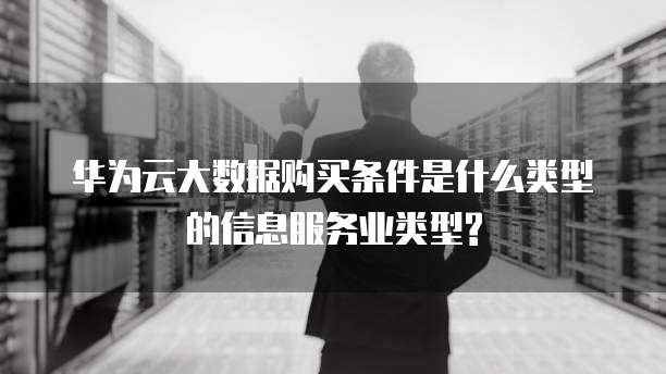华为云大数据购买条件是什么类型的信息服务业类型?