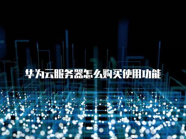 华为云服务器怎么购买使用功能