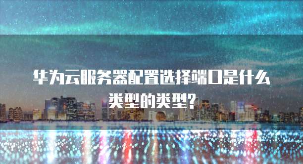 华为云服务器配置选择端口是什么类型的类型?