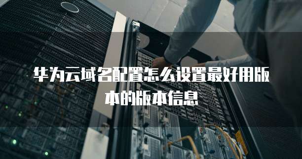 华为云域名配置怎么设置最好用版本的版本信息