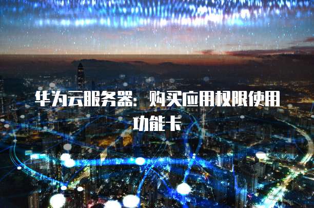 华为云服务器:购买应用权限使用功能卡