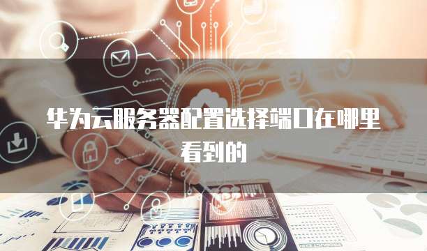 华为云服务器配置选择端口在哪里看到的