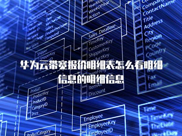 华为云带宽报价明细表怎么看明细信息的明细信息