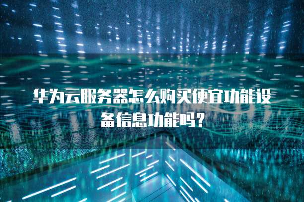 华为云服务器怎么购买便宜功能设备信息功能吗?