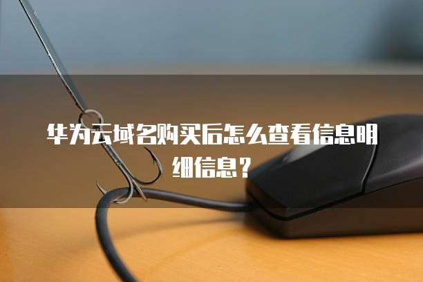 华为云域名购买后怎么查看信息明细信息？