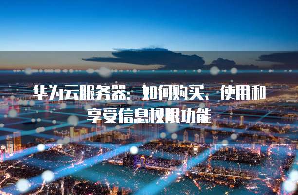 华为云服务器:如何购买、使用和享受信息权限功能