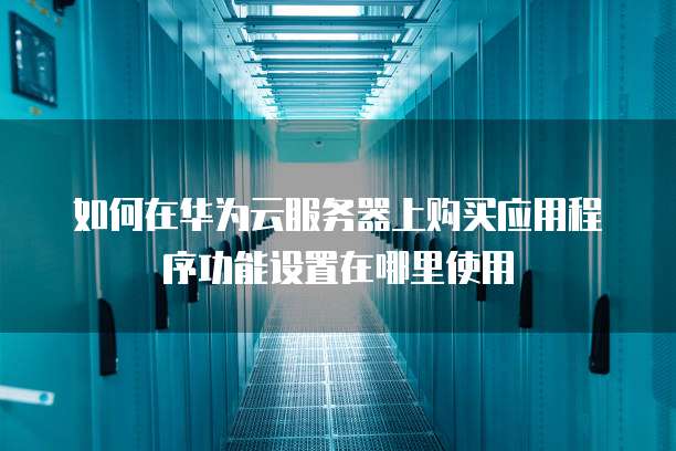 如何在华为云服务器上购买应用程序功能设置在哪里使用