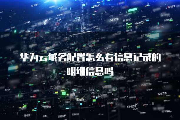 华为云域名配置怎么看信息记录的明细信息吗