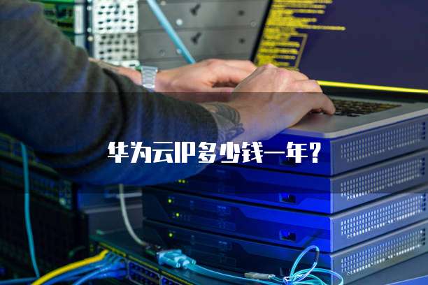 华为云IP多少钱一年?