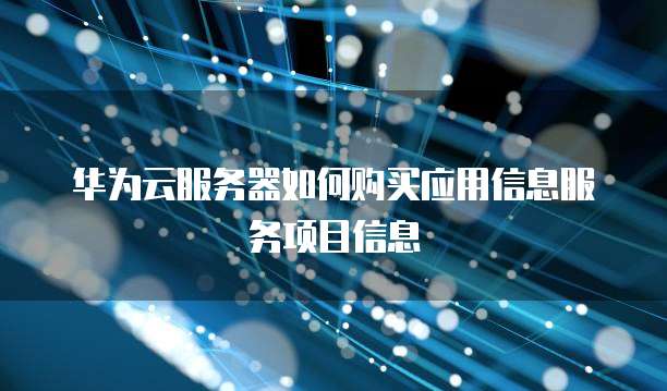 华为云服务器如何购买应用信息服务项目信息