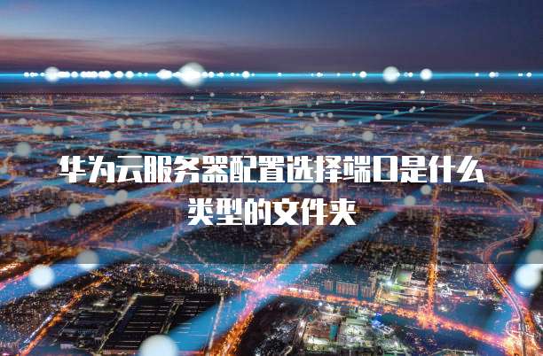 华为云服务器配置选择端口是什么类型的文件夹