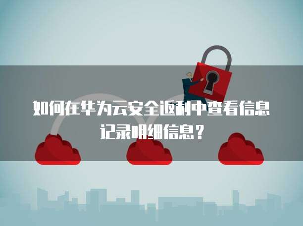 如何在华为云安全返利中查看信息记录明细信息?