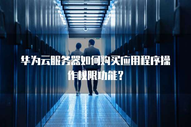 华为云服务器如何购买应用程序操作权限功能?