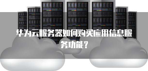 华为云服务器如何购买应用信息服务功能?