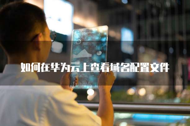 如何在华为云上查看域名配置文件