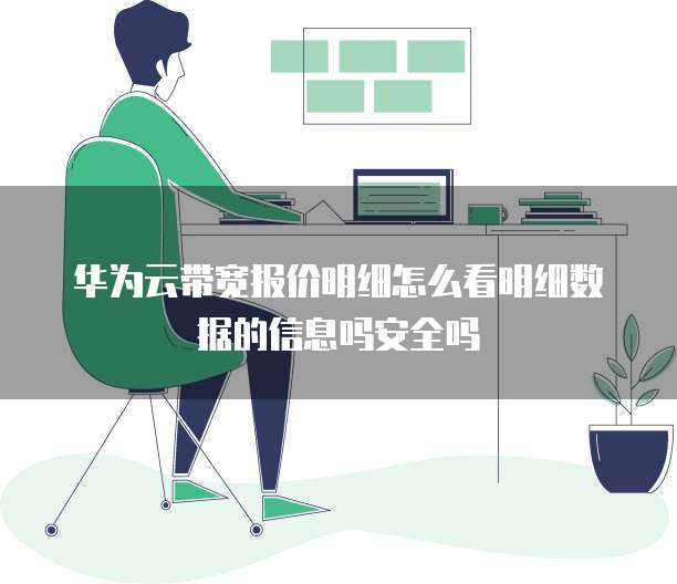 华为云带宽报价明细怎么看明细数据的信息吗安全吗