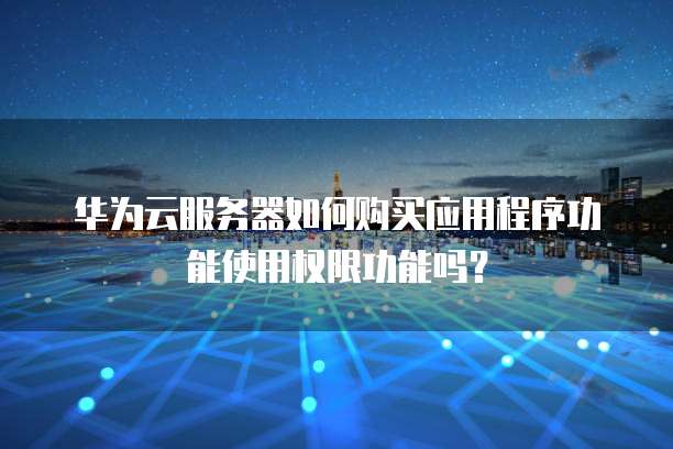 华为云服务器如何购买应用程序功能使用权限功能吗?