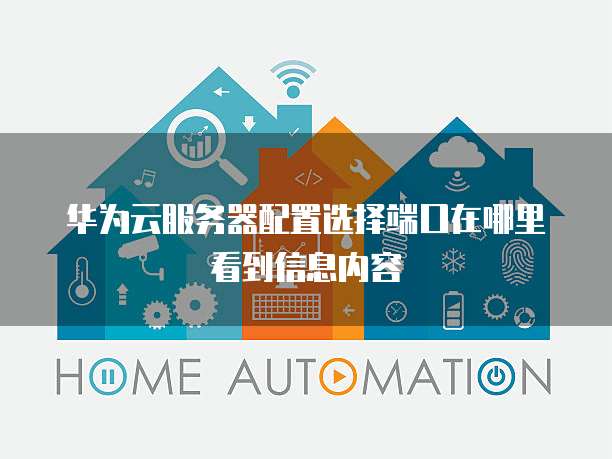 华为云服务器配置选择端口在哪里看到信息内容