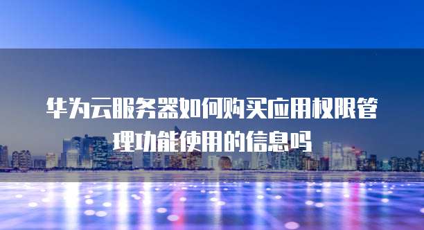 华为云服务器如何购买应用权限管理功能使用的信息吗