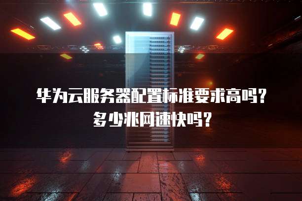 华为云服务器配置标准要求高吗?多少兆网速快吗?