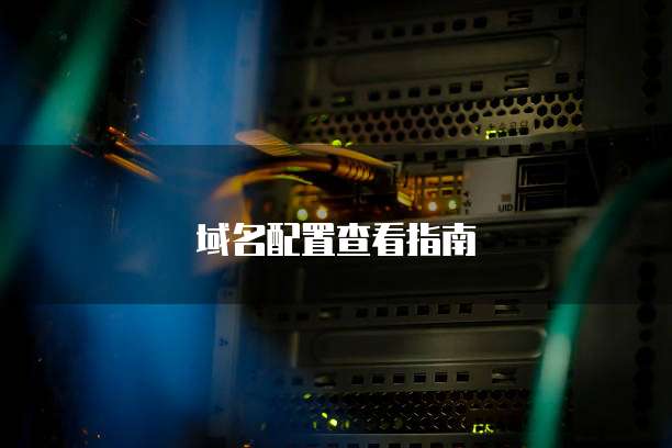 域名配置查看指南
