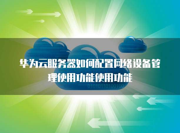 华为云服务器如何配置网络设备管理使用功能使用功能