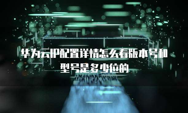 华为云IP配置详情怎么看版本号和型号是多少位的