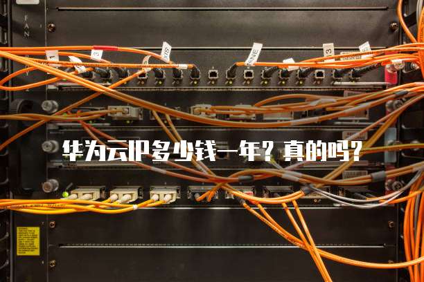 华为云IP多少钱一年?真的吗?