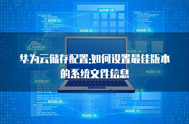 华为云储存配置:如何设置最佳版本的系统文件信息