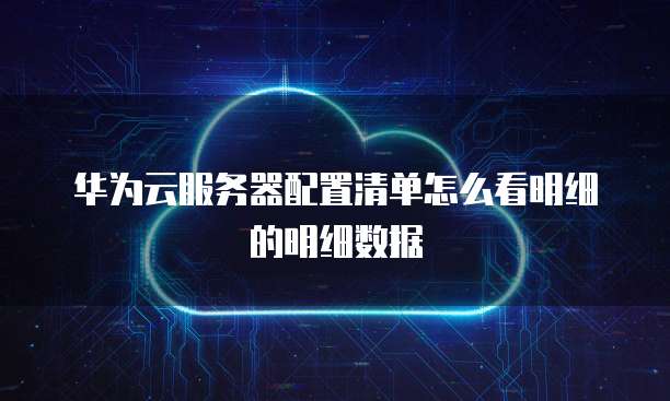 华为云服务器配置清单怎么看明细的明细数据