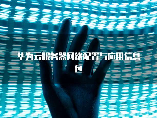 华为云服务器网络配置与应用信息包