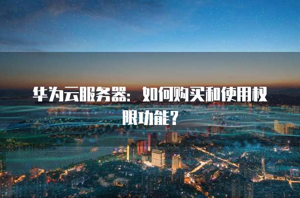 华为云服务器:如何购买和使用权限功能?