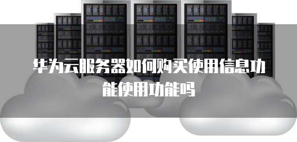 华为云服务器如何购买使用信息功能使用功能吗