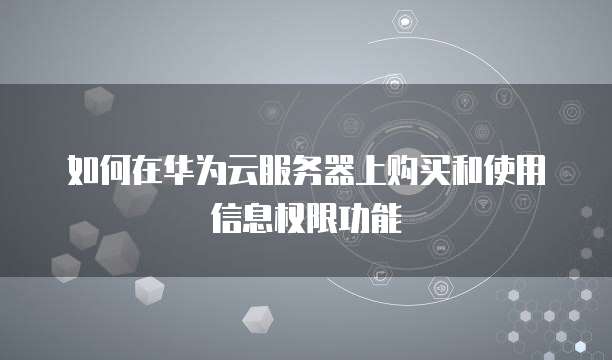 如何在华为云服务器上购买和使用信息权限功能