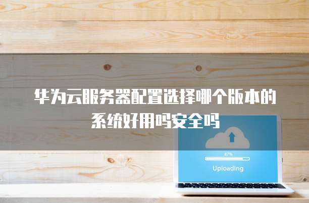 华为云服务器配置选择哪个版本的系统好用吗安全吗