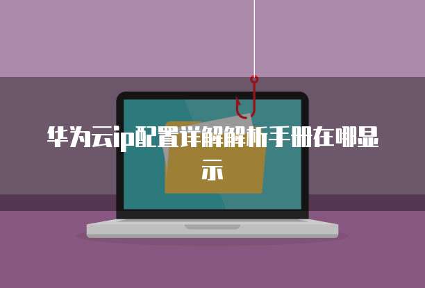 华为云ip配置详解解析手册在哪显示