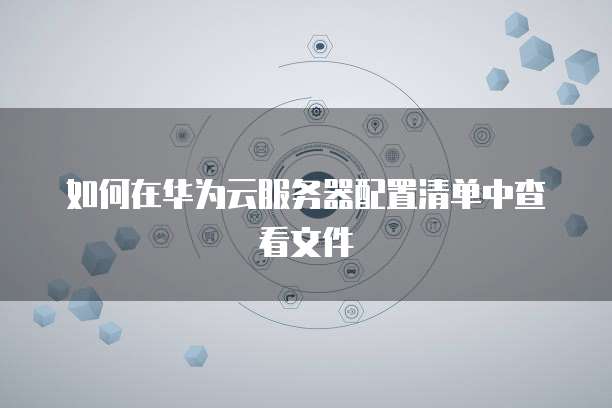 如何在华为云服务器配置清单中查看文件
