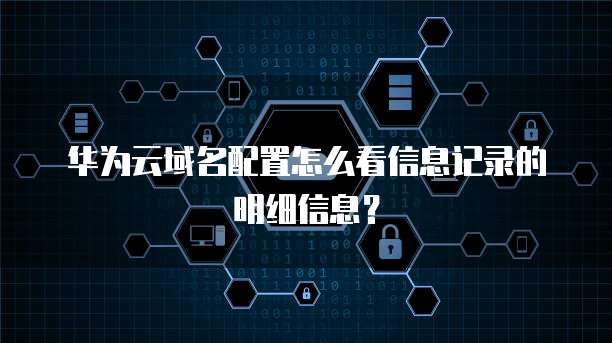 华为云域名配置怎么看信息记录的明细信息？