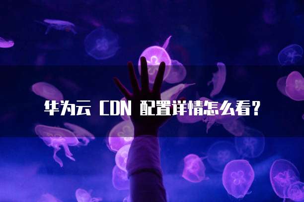 华为云 CDN 配置详情怎么看?