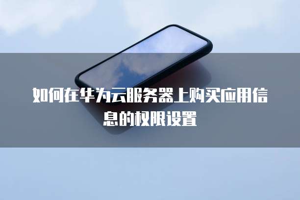 如何在华为云服务器上购买应用信息的权限设置